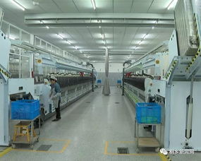 桐鄉(xiāng)科技與時(shí)尚融合 鑄就行業(yè)“單打冠軍”的技術(shù)開發(fā)之路